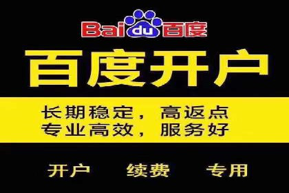 百度推广托管服务案例解析